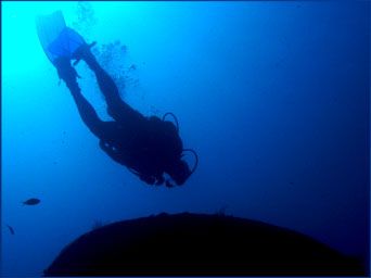 buceo pic